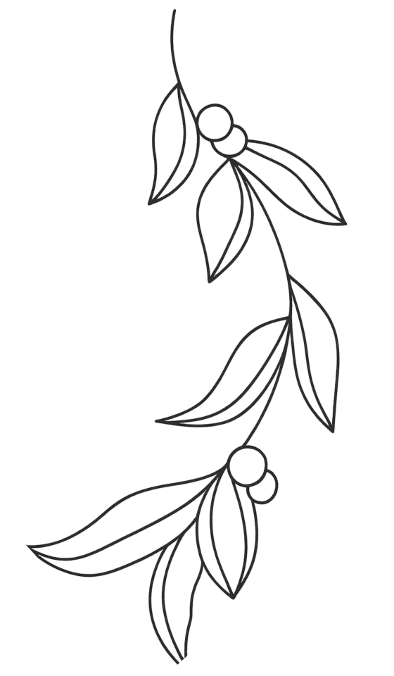 Refined Aesthetics - Design B2